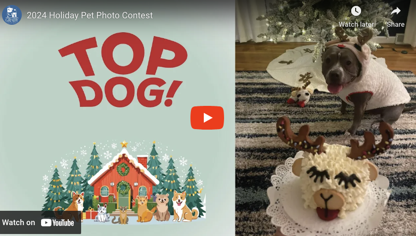 2024 Holiday Pet Photo Contest